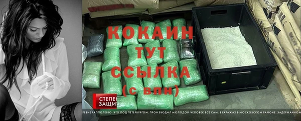 хмурый Покачи