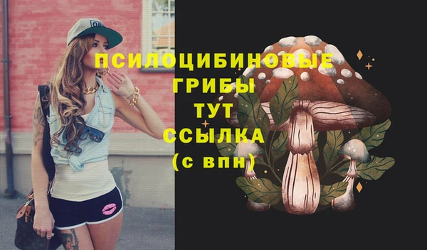 прущий лед Пестово