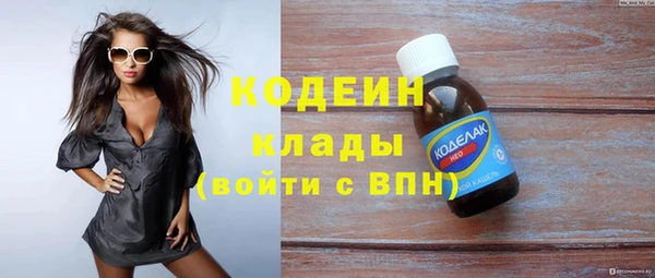 прущий лед Пестово
