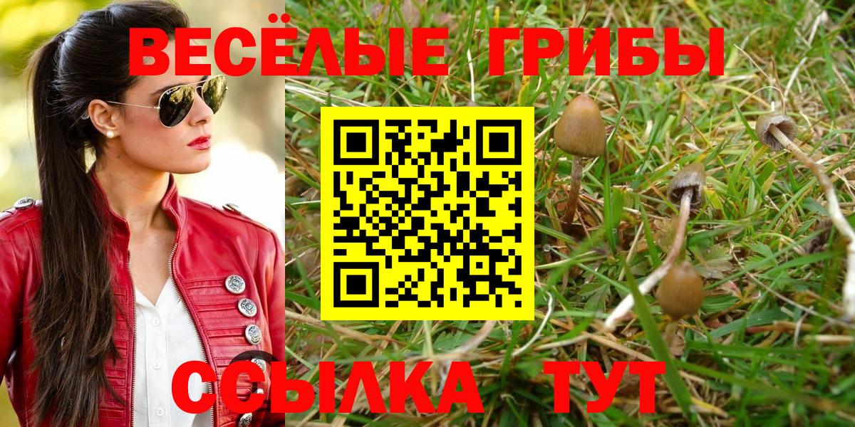 Коряжма  дарнет шоп  Вход с VPN  Галлюциногенные грибы мицелий 